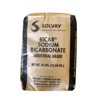 Alkalinity Up 50lb Bag - Sodium Bicarbonate