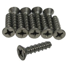 Pentair American Screw Kit #14 for 10 Hole Quick Niche - 630056