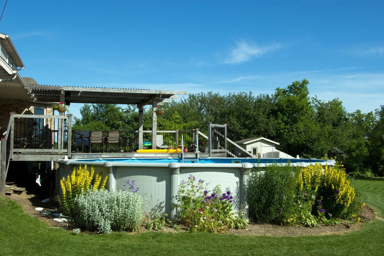 A pool with flowers and plants around it