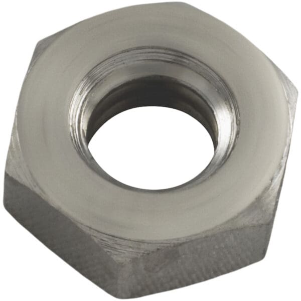 Pentair Nut Ss 1/4"-20 Hex Nut Serrated