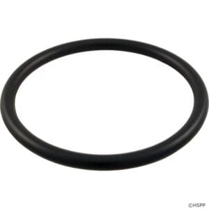 Black rubber O-ring on white background.