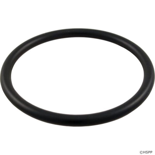 Pentair Oring for 2" Bulkhead - 154492