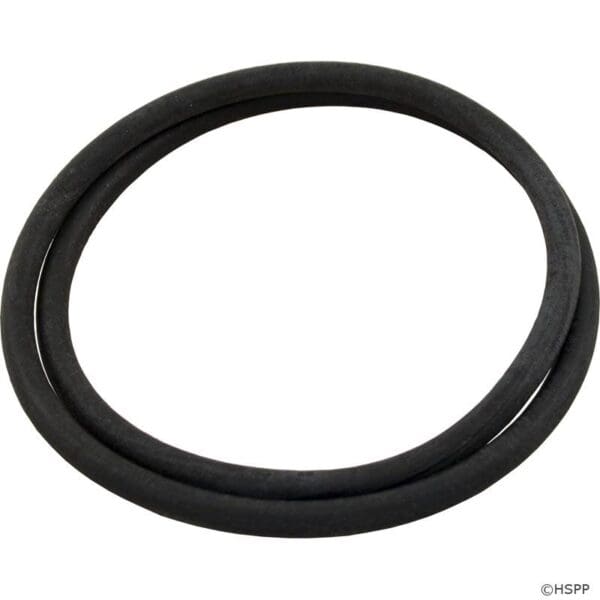 Pentair Oring Filter Body 87300400Z