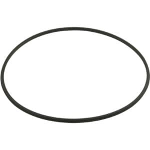 Black rubber O-ring on white background.