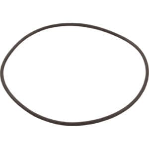 Black rubber O-ring on white background.