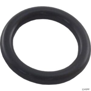 Black rubber O-ring on white background.