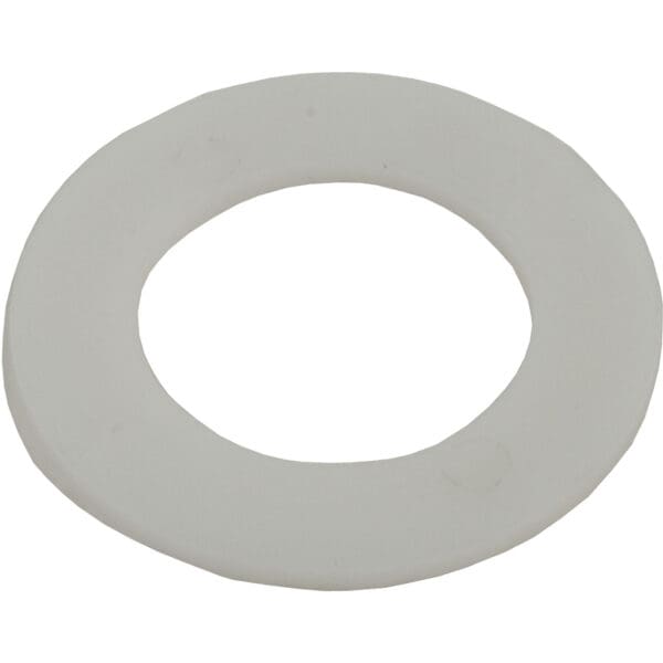 Pentair Non-Metallic Bearing Washer, Swimquip