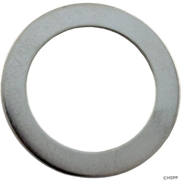 Pentair Sta-Rite Valve Washer - 14965-0007