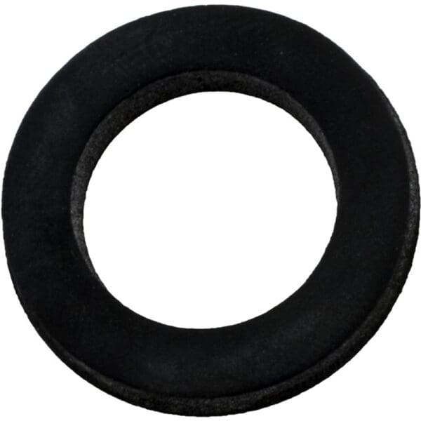 Pentair Gasket 3/4" Diameter for Filter Valve Backwash Sight Glass - 271106