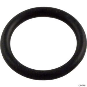 Black rubber O-ring on white background.