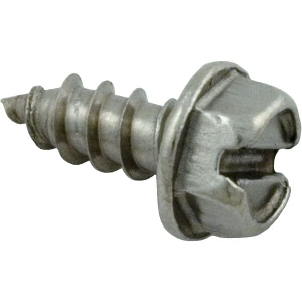 Pentair Screw S/S 27-3071