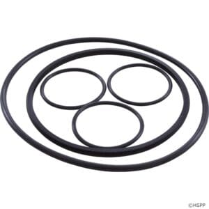 Black rubber O-rings in various sizes.