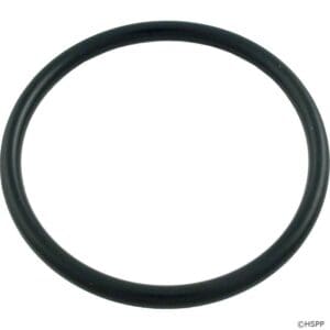 Black rubber O-ring on white background.