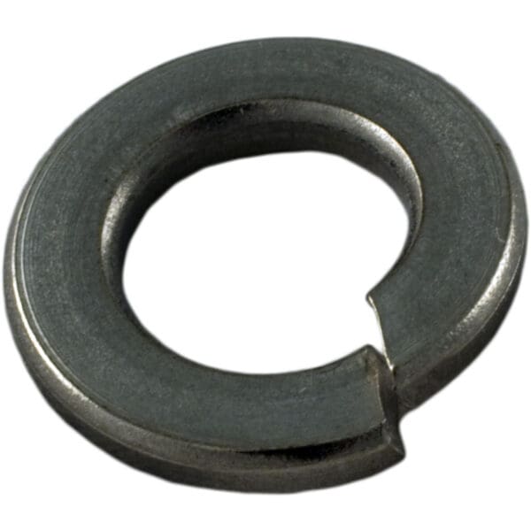 Pentair Sta-Rite Lock Washer Stainless Steel 5/16"