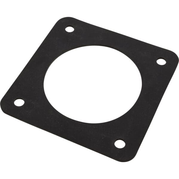 Pentair Gasket 3951200 F/ Ultra-Flow Pump Strainer To Volute American