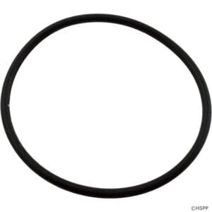 Black circular rubber O-ring on white background.