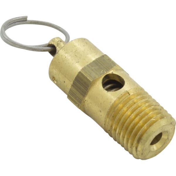 Pentair Pressure Relief Valve Brass Eq Series 1/4" Npt - Image 2