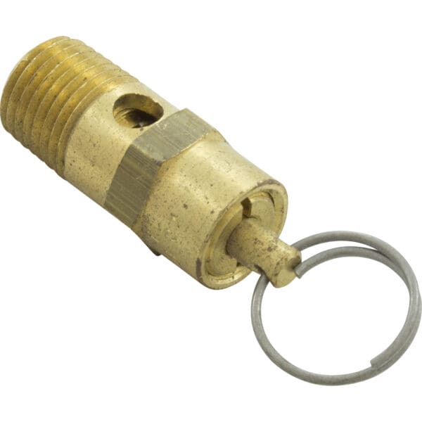 Pentair Pressure Relief Valve Brass Eq Series 1/4" Npt