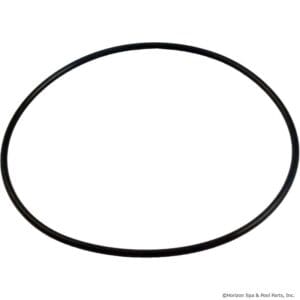 Black rubber O-ring on white background.
