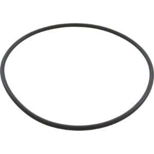 Black rubber O-ring on white background.