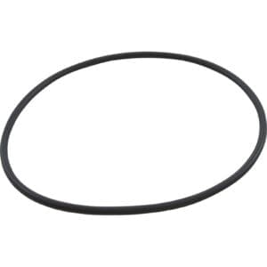 Black rubber O-ring on white background.
