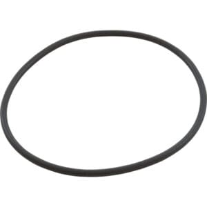 Black rubber O-ring on white background.
