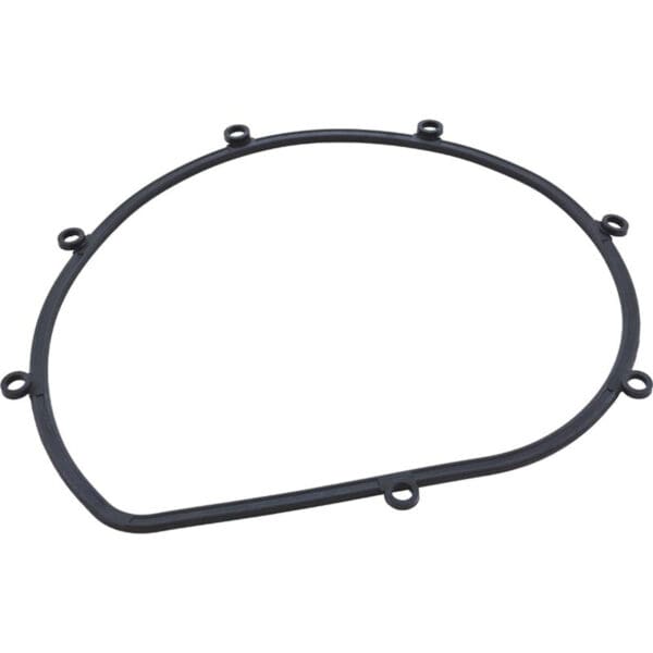 Speck Gasket for 21-80 Pump Casing