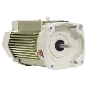 356286S Pentair VST motor only almond