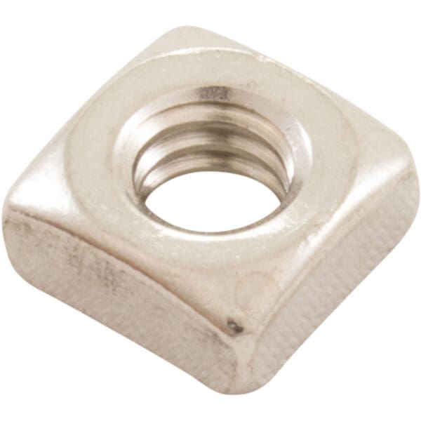 Pentair Nut Ss Square .25"-20 Stainless Steel for Optiflo Pump Housing - 98209000