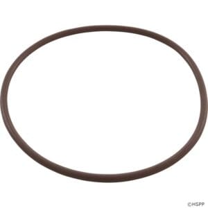 Brown rubber O-ring on white background.