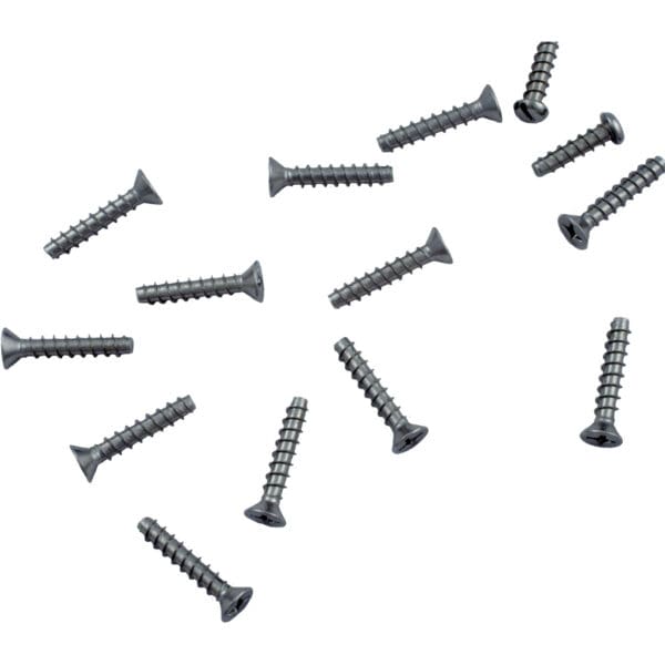 Hayward Skimmer Screw Set 16 1.25" Ss W/ 4 Mount Screws