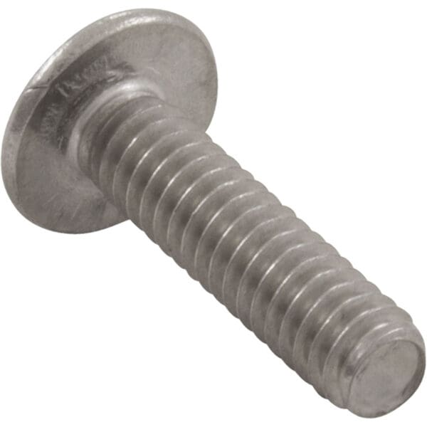 Clayton Lambert Screw Stainless Steel for Skimmer Face Plate - P-2494 - Image 2