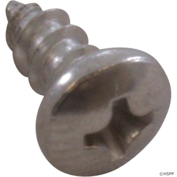 Pentair Swimquip Weir Screw Stainless Steel - 37207-0825