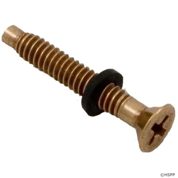 Pentair American Pilot Screw Brass for Light Assembly - 79104800Z