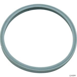 Gray circular gasket on white background.