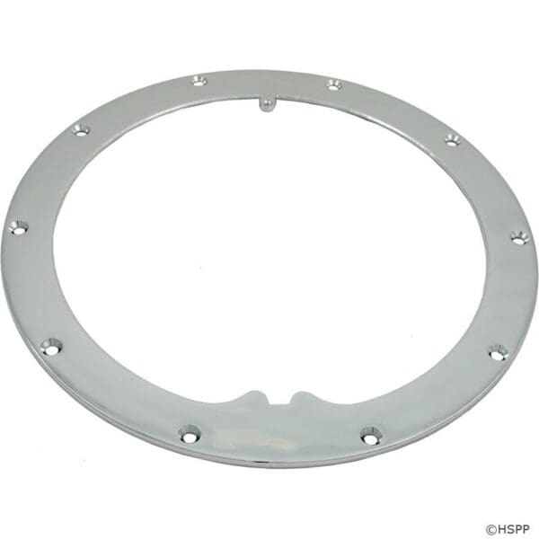 Pentair Niche Sealing Ring Chrome 10 Hole - 79200200