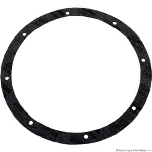 Round black gasket with multiple holes.