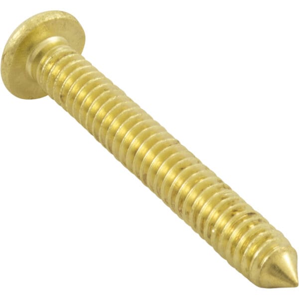 Aladdin Light Screws (3) - Image 3