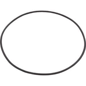 Black circular rubber O-ring on white background.