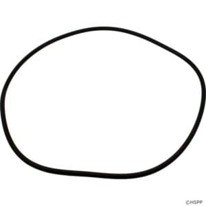 Black rubber O-ring on white background.
