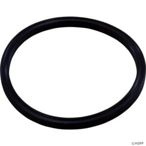 Black rubber O-ring on white background.