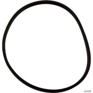 Black circular rubber belt on white background.