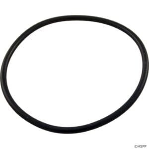 Black rubber O-ring on white background.