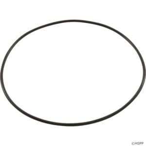 Black rubber O-ring on white background.