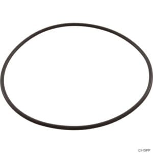 Black rubber O-ring on white background.
