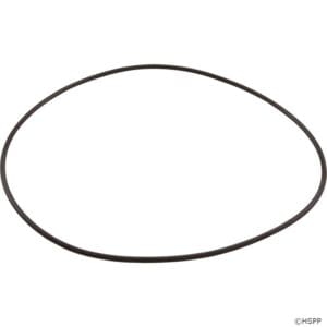 Black rubber O-ring on white background.