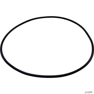 Black rubber O-ring on white background.
