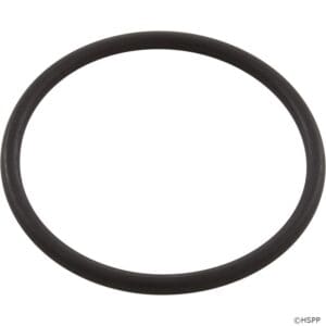 Black rubber O-ring on white background.
