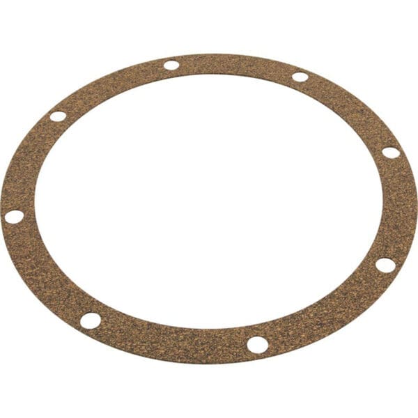 Pentair Adapter Gasket D-Series Pool & Spa Pump - C20-46