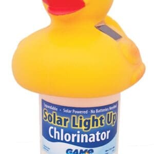 Yellow duck chlorinator with sunglasses.